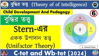 Stern Unifactor Theory  Theory Of Intelligence  Child Development and Pedagogy  Ctet And Wbtet [upl. by Aidin926]