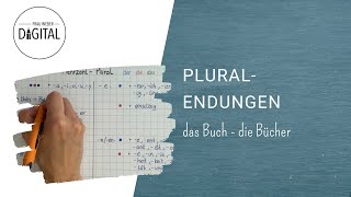 Pluralendungen So bildest du den Plural inkl Arbeitsblatt [upl. by Atinihc]