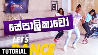 HOW TO DaNcE TO SEPALIKAWO  සේපාලිකාවෝ  Ep23  LeTs DaNcE RaMoD with COOL STEPS [upl. by Laure]