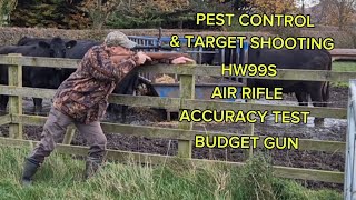 PEST CONTROL amp TARGET SHOOTING HW99S 177 ACCURACY BUDGET AIR RIFLE [upl. by Nomad]