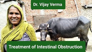 Treatment of Intestinal Obstruction Dr Vijay Verma [upl. by Drugi]