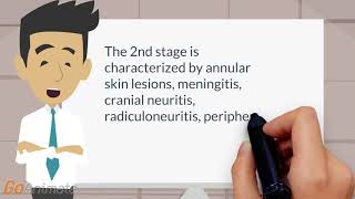 What are the 3 phases of Lyme disease [upl. by Raimondo]