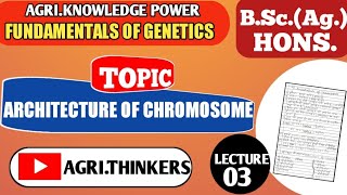 ARCHITECTURE OF CHROMOSOME  FUNDAMENTALS OF GENETICS  LECTURE3  AGRITHINKERS [upl. by Niloc582]