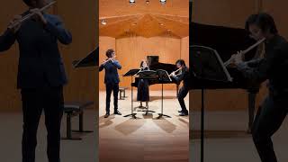 Kaspar Kummer  Trio for 3 flutes in G maj op 24 shorts flute trio classicalmusic short music [upl. by Debarath]