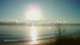 Lake Huron the Sweetwater Sea Leap Day on the beach HD 1080p [upl. by Aneerahs]