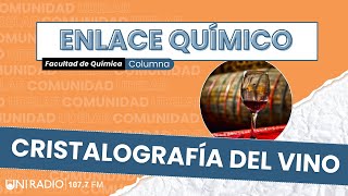 Enlace Químico  Cristalografía del vino junto al Dr Leopoldo Suescun [upl. by Luht622]