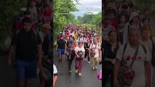 Migrant caravan headed to US border ahead of Trump presidency [upl. by Serilda153]