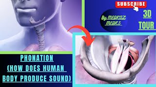 Phonation  How Does Human Body Produce Sound  Medical Animations [upl. by Avirt]