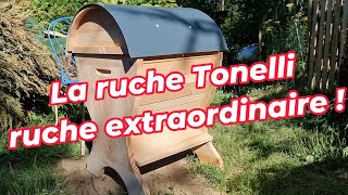 La ruche Tonelli une ruche extraordinaire [upl. by Ahsiket]