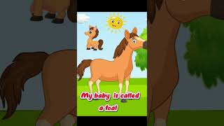 I am Horse  learning  The Horse Song  Farm Animals Songs  Horses for Kids  Nursery Rhymes [upl. by Asilahs]