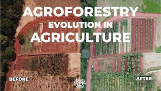 Agroforestry is true sustainability for agriculture [upl. by German117]