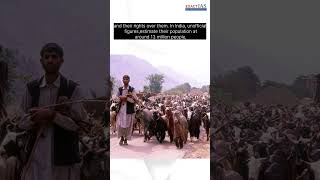 What is Pastoralism [upl. by Aerahs]