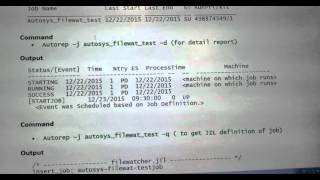 Unix Autosys Job Autorep Commands [upl. by Gusella]