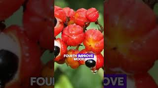 10 HEALTH BENEFITS of GUARANA shorts fruit health nutrition healthy fitness fit longevity [upl. by Novert]