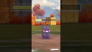 When I used Morpeko in battle with form change 😳 Pokemon go [upl. by Lachish121]