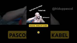 KABEL TEK JADI KABEL AJA BELAGU ❗❗🤣🤣 pascolshort hiduppascol pascol pascolemosi [upl. by Cleavland]