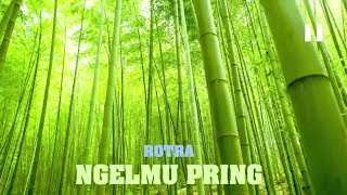 Rotra  Ngelmu Pring MaknaLirikTerjemahan [upl. by Emile743]