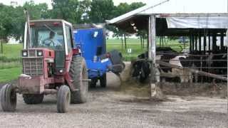 Milking cows in Minnesota [upl. by Yawnoc428]