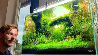 Beautiful Danish Aquascapes at Home  Full Aquarium Tour 🇩🇰💚 [upl. by Forrester]