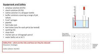 Knole Academy  Science  AR Lesson Year 10  Week 15  Req Practical Effect of pH on amylase [upl. by Hurley]