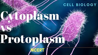 Difference between Cytoplasm and Protoplasm  NCERT [upl. by Marder]