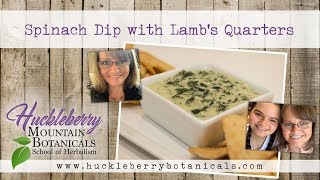 Spinach Dip with Lambs Quarters [upl. by Llerahs]