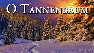 O Tannenbaum 🎄 German Christmas SongLyrics [upl. by Ailama]