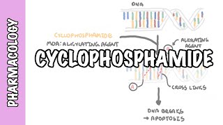 Cyclophosphamide  pharmacology mechanism of action adverse effects [upl. by Eseer541]