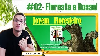 JOVEM FLORESTEIRO 02  Floresta e Dossel  Conceitos [upl. by Adnwahsal670]