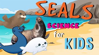 Seals  Science for Kids [upl. by Marchak]