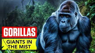 Gorillas in the mist [upl. by Trocki]