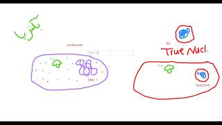 1 Microbiology شرح ميكروبيولوجي تمريض [upl. by Langille155]