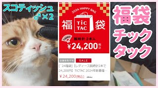 【スコティッシュ♂×2】tictac時計の福袋【福袋2024】 [upl. by Dorison2]