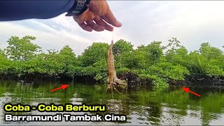 JANGAN COBA  COBA Akibat Nekat Berburu Barramundi Hasilnya Diluar Dugaan [upl. by Oneil813]