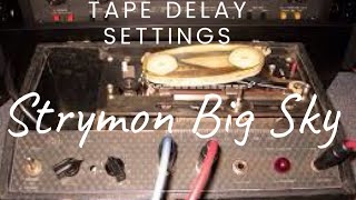 Strymon Big Sky Tape Delay Settings [upl. by Pirbhai]