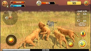 Wild Lion Simulator 3D Android Gameplay HD 1 [upl. by Naus]