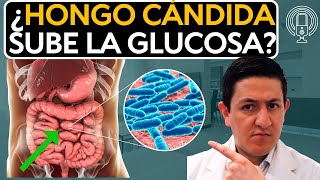 Glucosa alta por Cándida QUE es y COMO detectarla Dr Antonio Cota Sugar Care [upl. by Atiuqin]