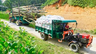 Use Truck Transport Livestock Feed  Transporting Firewood Truck Driver Girl  Daily Farm [upl. by Nylasor]