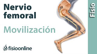 Flexibilización y movilización del nervio femoral [upl. by Adnelg]