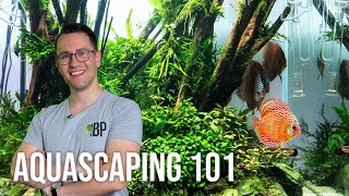 Intro Aquascaping for Beginners  Learn the Basics  EP1 Planted Tank Overview [upl. by Bevvy]