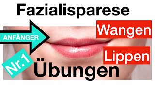 Nr1 Gesichtslähmung verbessern 4 Übungen für Lippen  Wangen Fazialisparese AnfängerDehnungen [upl. by Sarilda598]