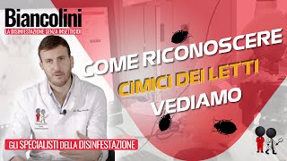 ⁉️📕Come riconoscere le cimici dei letti⁉️📕 [upl. by Nerhtak]