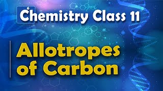 Allotropes of Carbon  P Block Elements  Chemistry Class 11 [upl. by Asirak]