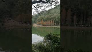 Mirror of the sky reservoir travel nature short enjoythenatureoftheworld shortsvideo [upl. by Giffard]