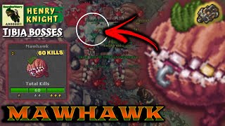 TIBIA BOSSTIARY 42  COMO FAZER O BOSS MAWHAWK ROSHAMUUL [upl. by Cheadle]