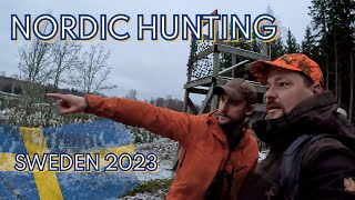 Nordic Driven Hunt  Moose Hunt  Drevjakt  Älgjakt  Blaser R93  R8  Sweden 2023 [upl. by Mccutcheon81]