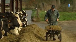 Pas de repos pour les agriculteurs le premier de lan [upl. by Panter]