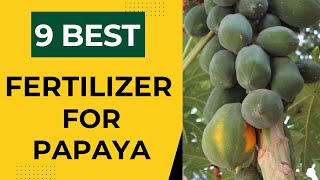 Grow Big Size Papaya Fruits Using these Fertilizers [upl. by Omlesna]