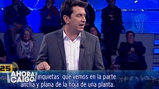 Chiste Curso de jardinería  Ahora Caigo [upl. by Ahsiryt]