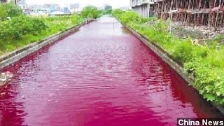 Chinese River Mysteriously Turns Blood Red [upl. by Macguiness]